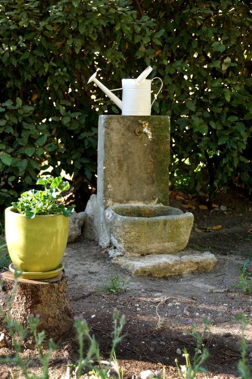 Mas De La Douceur Bed & Breakfast Saint-Andiol Bagian luar foto